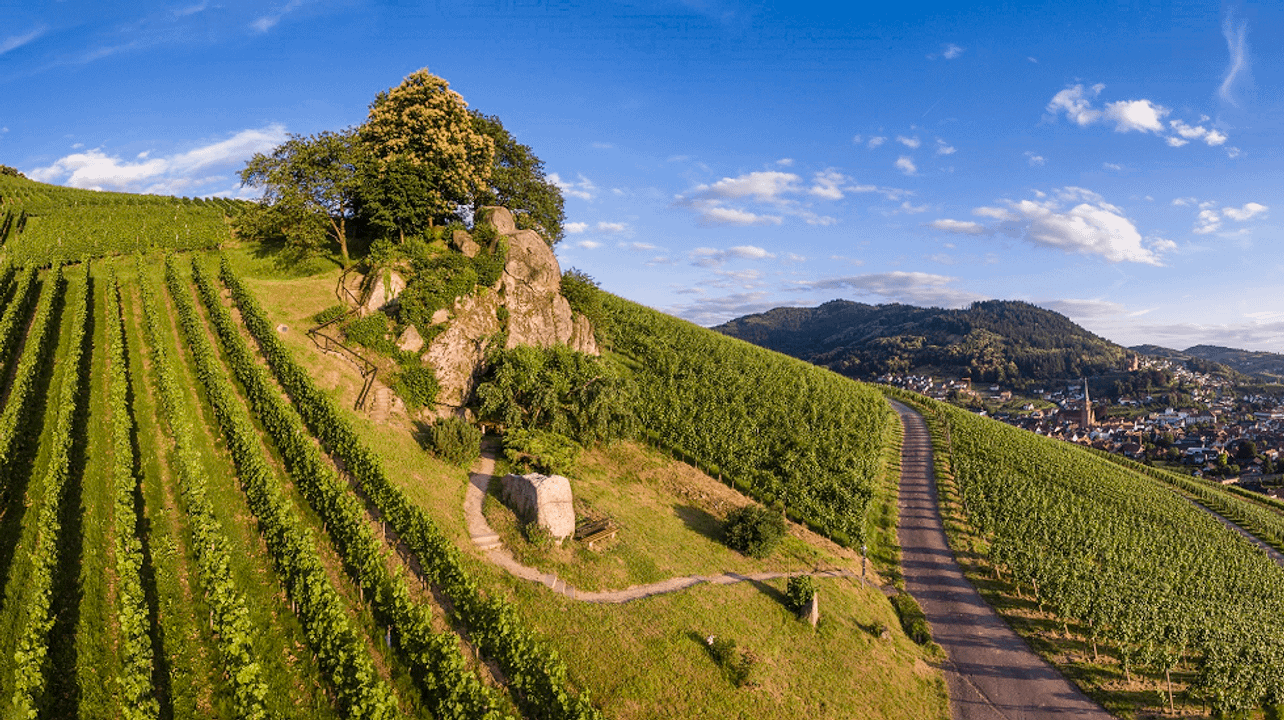 Hex vom Dasenstein Winery