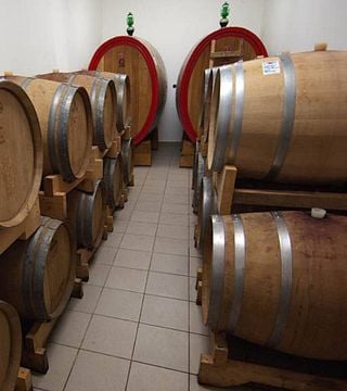 Cata de vinos en la finca agrícola de la familia Pilato