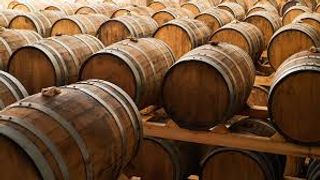 Dégustation de vins haut de gamme chez Didgori Winemaking