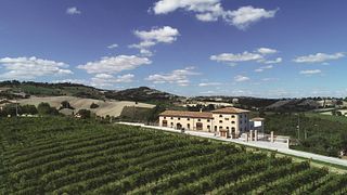 Cantina Colognola - Tenuta Musone