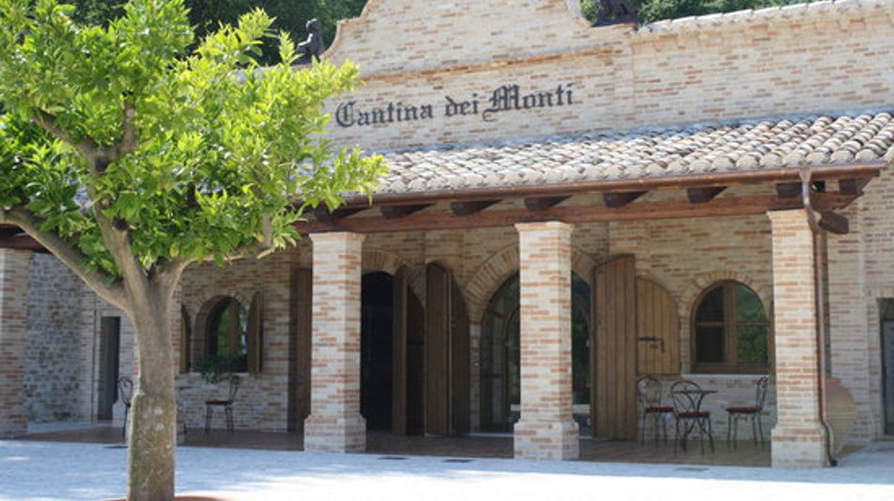 Visita e degustação de vinhos na Cantina dei Monti