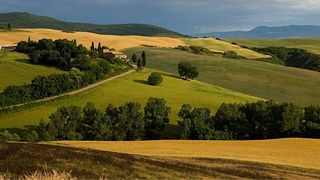 Vollständige Immersion Vino Nobile-Weinprobe in der Vecchia Cantina Di Montepulciano