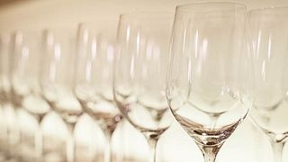 Dégustation en petit groupe avec visite du vignoble | Weingut & Heuriger Christ