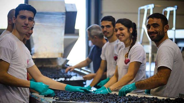 Degustazione di vini e visita allo Château Les Amoureuses