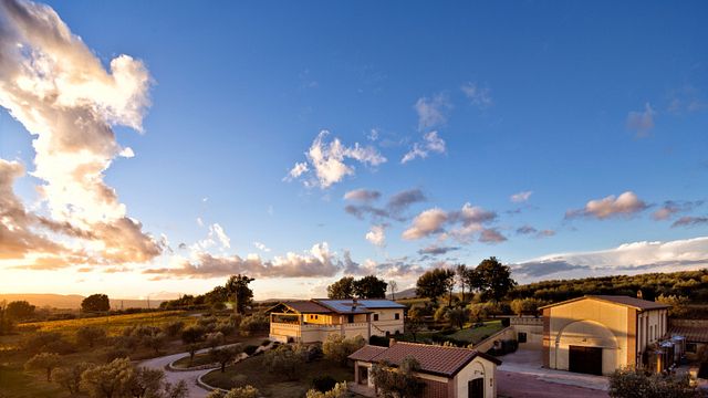 Vino Exclusivo en Bodega Perticaia