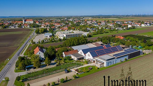 Cata de vinos y visita guiada en Weingut Umathum