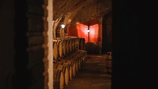 Sabores de Valpolicella: Parada Gourmet