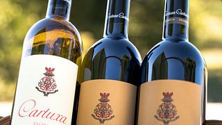 Visite de la cave Cartuxa et dégustation de vins