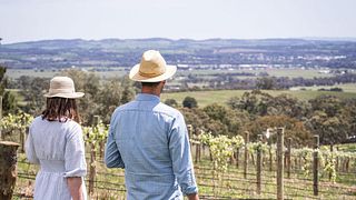 Eden Valley Escape: Paisley Wine & Vineyard Tour