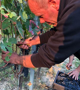Mauro Veglio Azienda Agricola