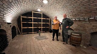 Weinprobe im Weingut Krmeš