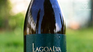 Quinta Da Lagoalva De Cima