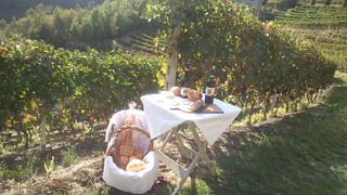 Dégustation de vins et visite des Poderi Roccanera