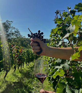Domaine de Noiré