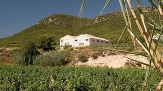 Degustação de vinhos e tour na Bodega Balcona