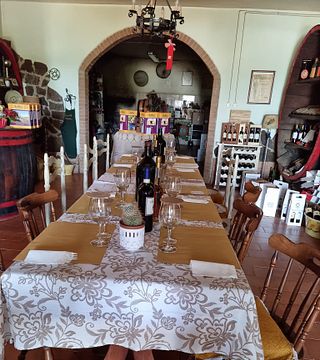 Cata sensorial de vinos en Pasqualetti Viticoltori