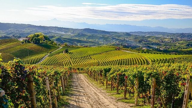 Recorrido privado en bicicleta eléctrica por las Langhe del Barolo (asfalto y tierra)