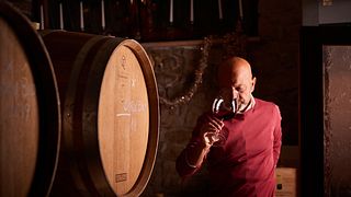 Az. Agr. Vigna '800 di Gianfranco Elampini