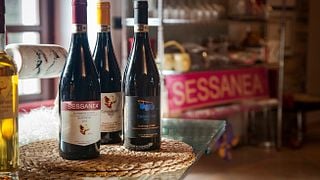 Degustazione e tour di vini a Sessanea