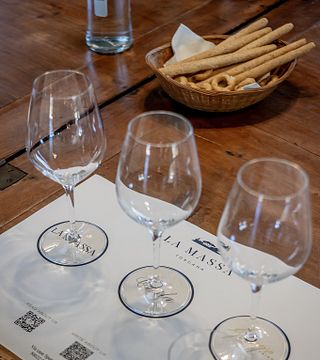 Wine tour