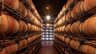 Rioja Wine & Cheese Tasting at Marqués De Cáceres