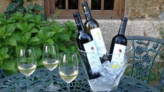 Visita y Cata de Vinos en Quinta Das Escomoeiras