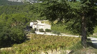 Domaine de Cassan: A Wine Lover's Retreat