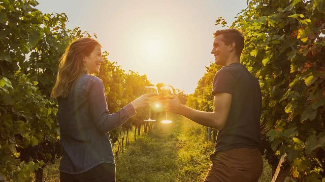 Visite privée de dégustation de vins au départ d'Istanbul