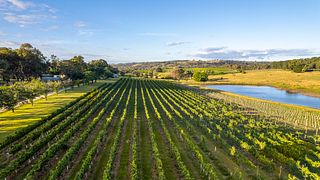 Degustação de vinhos na Stockman's Ridge Wines