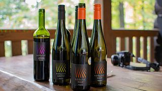 Dégustation de vins et visite à Vina Kosutic