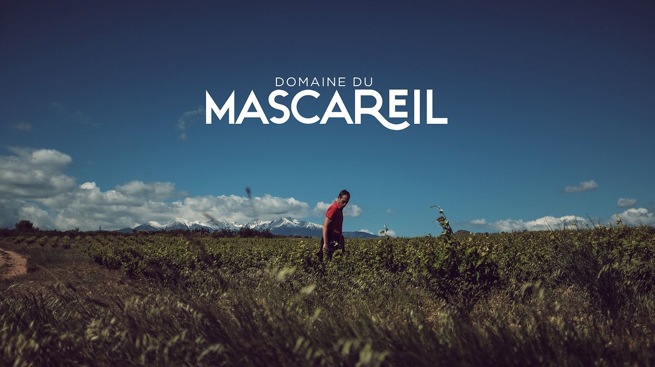 Domaine du Mascareil