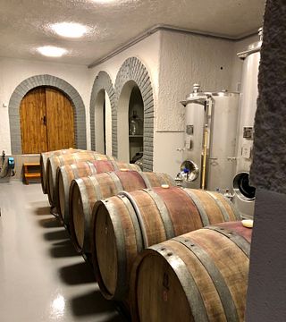Degustação de vinhos e tour no Centurio