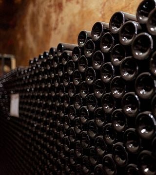 Celler Mas de la Creu