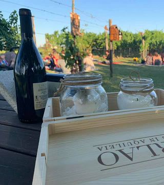 Weinprobe und Tour bei Tarlao Vignis in Aquileia