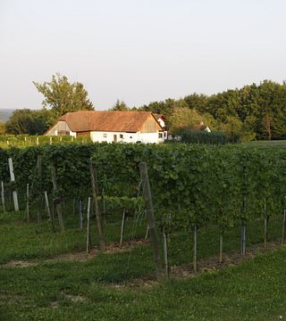 Weingut Pock