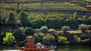 Visite historique de la vallée du Douro - Villages anciens, vignoble, croisière et déjeuner