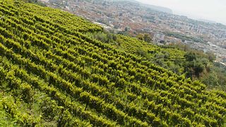 Crus-Turm