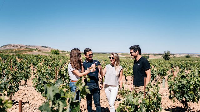 Premium Winery Day Tour: Två av de bästa Ribera del Dueros vingårdar
