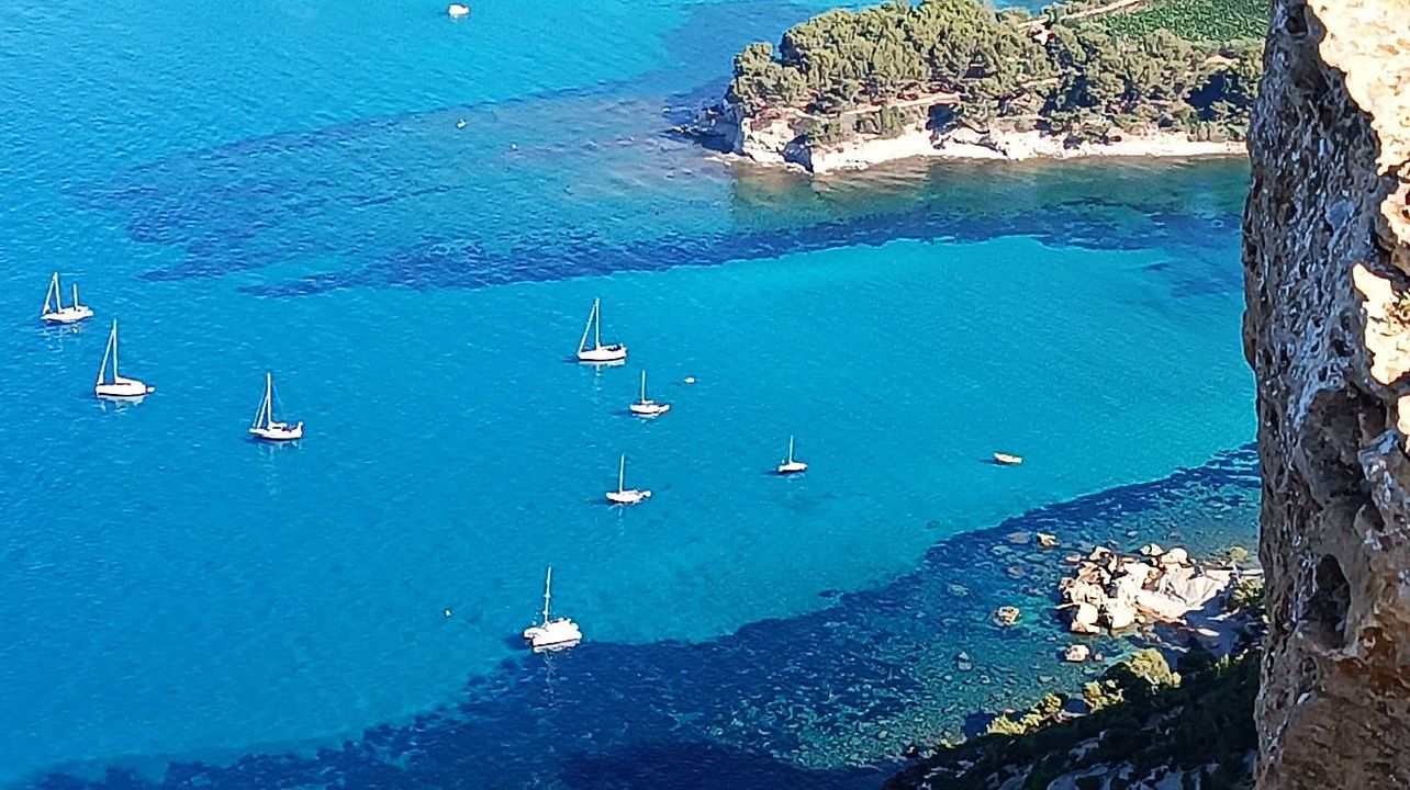 Vinícolas Cassis