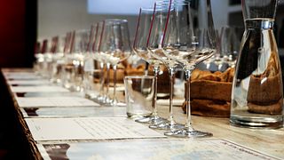 Nuancen des italienischen Terroirs – Eine Verkostung von Weinen mit minimaler Intervention
