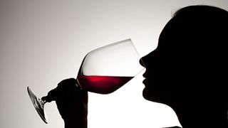 Tour del vino a Firenze