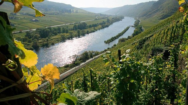 Weingut Melsheimer