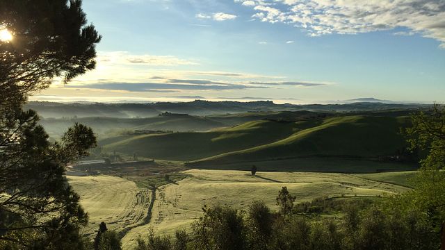 Visite de la cave et dégustation à la Cantina Giuliano