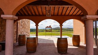 Wine Tasting Essenza