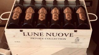 Cata de vinos y visita guiada en Vinicola Attanasio