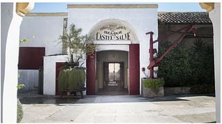 Visite guidée et dégustation de vins à Castel Di Salve