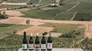 Vino de siete
