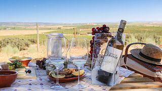 Alentejo Vineyards & Vistas at Herdade Grande