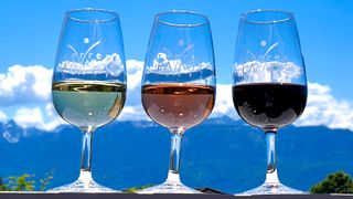 Entdeckungsverkostung von 3 einzigartigen Weinen bei Terres de Lavaux