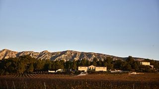 Expérience Signature - Visite de vignoble et dégustation